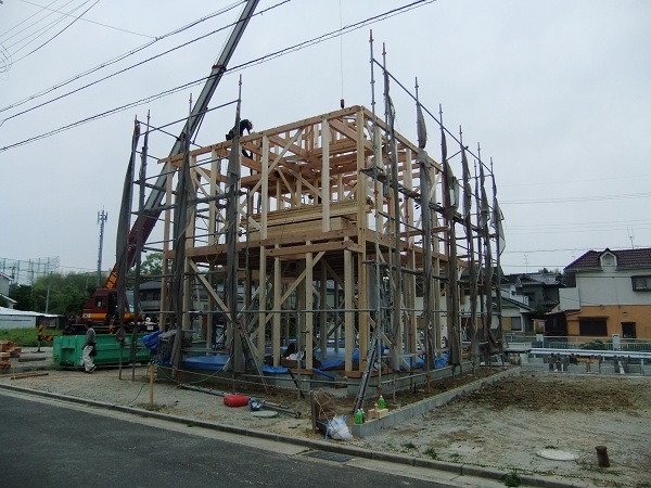DSCF2590.JPG