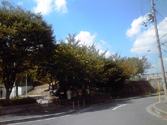 20101002.JPG