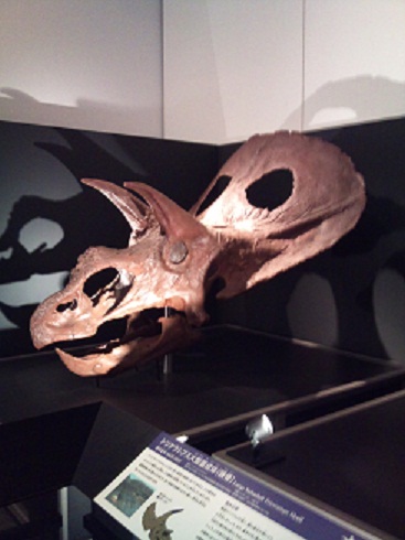 20110822-2.jpg