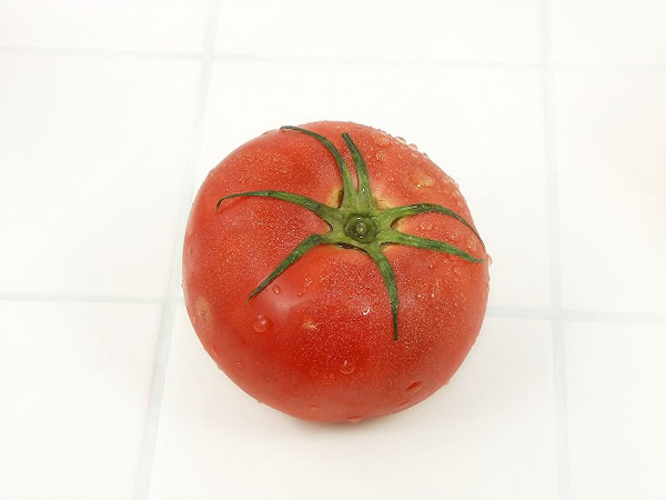 20090612.jpg