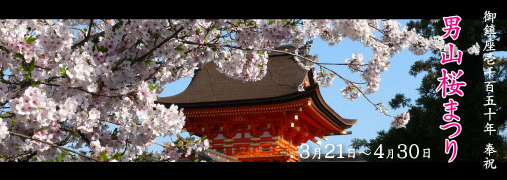 iws-top-sakuramatsuri.jpg