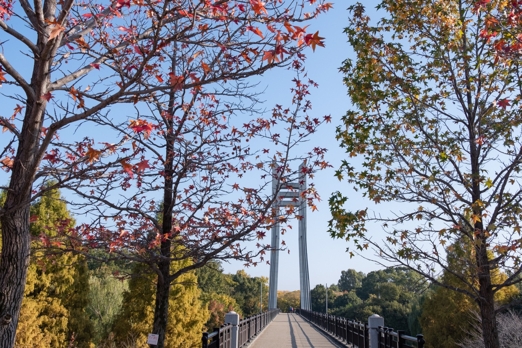 【枚方市の新築購入の穴場】津田駅周辺の住みやすさは？山田池公園にも近い「隠れたスポット」を解説！