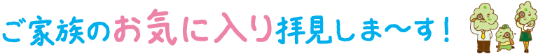 お二人のお気に入りPOINTをご紹介!