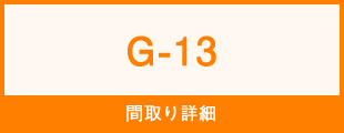 G-13