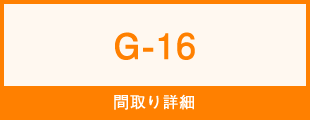 G-16
